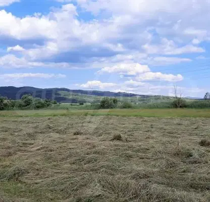 Photo 4 — Plot in Oblast Blagoevgrad, Banya