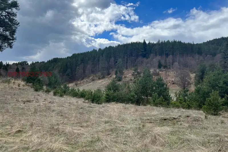 Plot in Oblast Blagoevgrad, Satovcha
