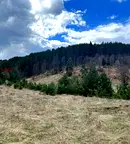 Парцел в Благоевград, с. Сатовча