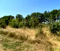 Снимка 4 — Парцел в Бургас, Приморско