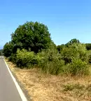 Парцел в Бургас, Приморско