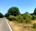 Снимка 4 — Парцел в Бургас, Приморско