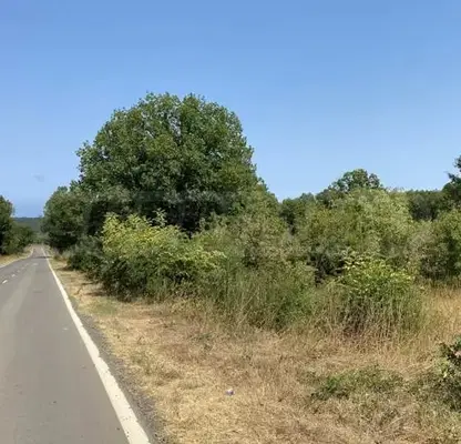 Снимка 4 — Парцел в Бургас, Приморско