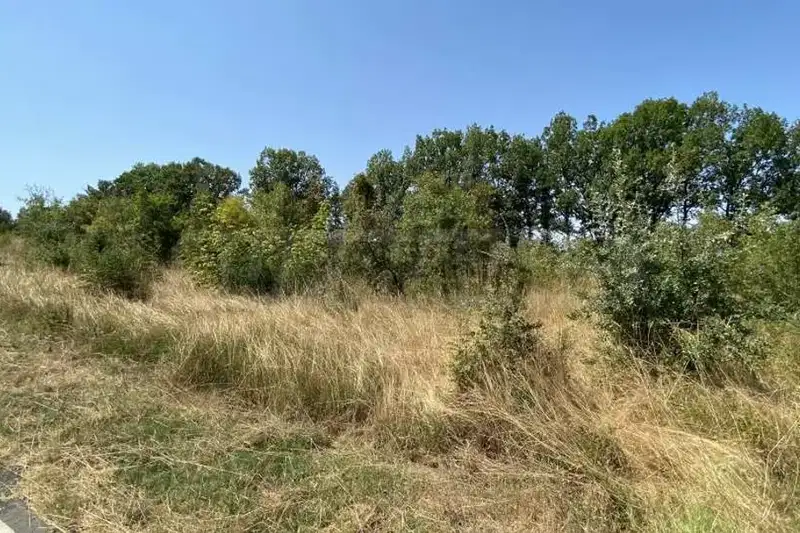 Парцел в Бургас, Приморско