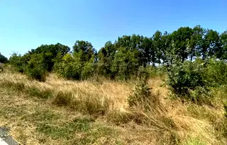 Парцел в Бургас, Приморско