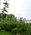 Парцел в Бургас, Приморско