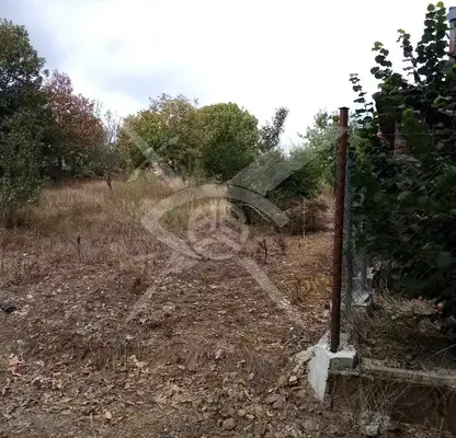 Снимка 4 — Парцел в Бургас, с. Крушевец