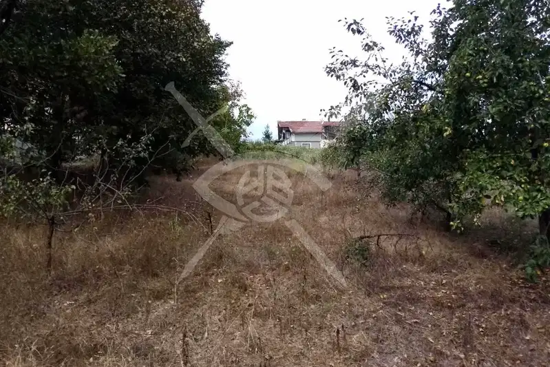 Plot in Oblast Burgas, Krushevec