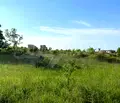 Снимка 3 — Парцел в Бургас, с. Лозенец