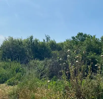Photo 2 — Plot in Oblast Burgas, Ravadinovo
