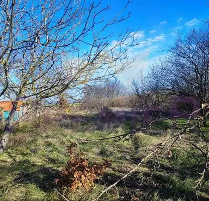 Photo 2 — Plot in Oblast Dobrich, Balchik