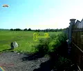 Снимка 4 — Парцел в Добрич, с. Брястово