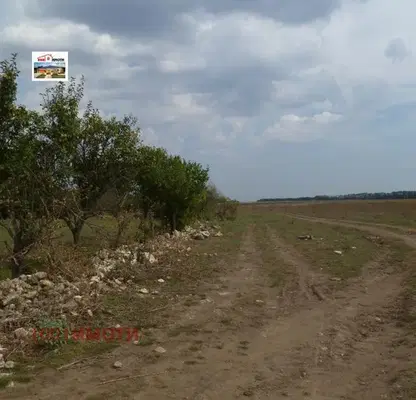 Снимка 2 — Парцел в Добрич, с. Брястово