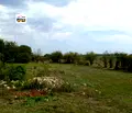 Снимка 5 — Парцел в Добрич, с. Брястово