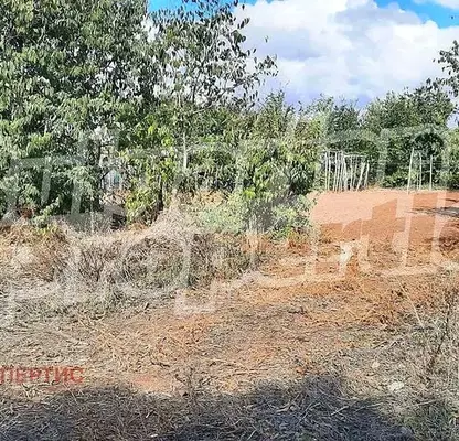 Photo 2 — Plot in Oblast Dobrich, Bylgarevo