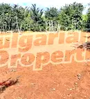 Парцел в Добрич, с. Българево