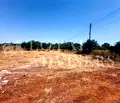 Снимка 2 — Парцел в Добрич, с. Българево