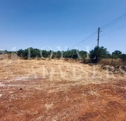 Photo 2 — Plot in Oblast Dobrich, Bylgarevo