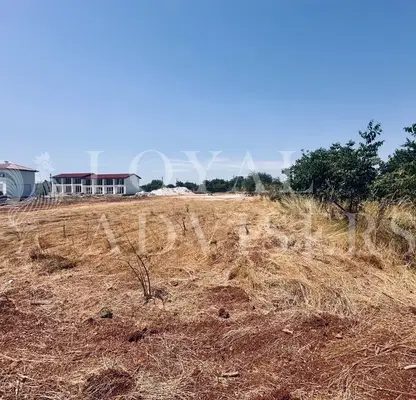 Photo 3 — Plot in Oblast Dobrich, Bylgarevo
