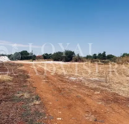 Photo 4 — Plot in Oblast Dobrich, Bylgarevo