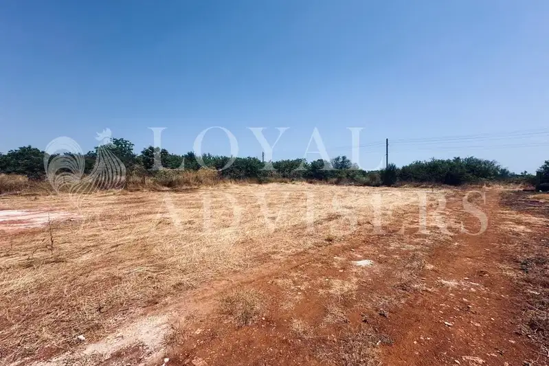 Plot in Oblast Dobrich, Bylgarevo
