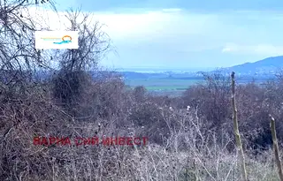 Парцел в Добрич, с. Рогачево