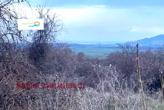 Парцел в Добрич, с. Рогачево
