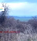 Парцел в Добрич, с. Рогачево