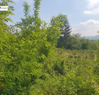 Photo 3 — Plot in Oblast Gabrovo, Dryanovo