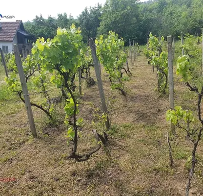Photo 4 — Plot in Oblast Gabrovo, Dryanovo