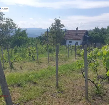 Photo 5 — Plot in Oblast Gabrovo, Dryanovo