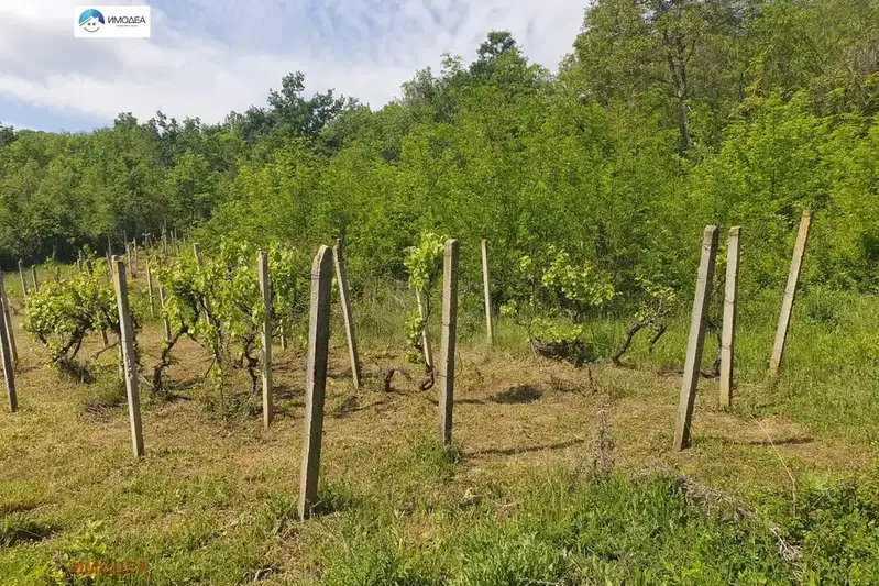 Парцел в Габрово, Дряново