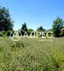 Парцел в Габрово, Севлиево