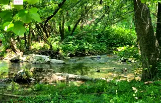 Парцел в Габрово, Трявна