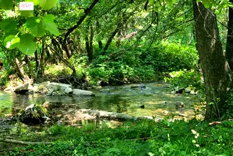Парцел в Габрово, Трявна