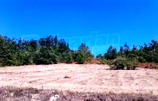 Парцел в Габрово, с. Боженците
