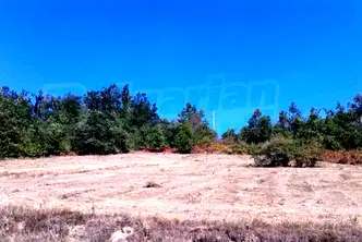 Парцел в Габрово, с. Боженците