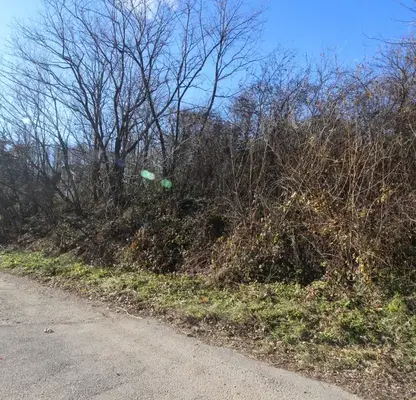 Photo 2 — Plot in Oblast Gabrovo, Boriki