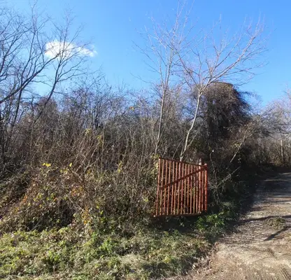Photo 3 — Plot in Oblast Gabrovo, Boriki