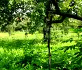 Снимка 5 — Парцел в Габрово, с. Добромирка