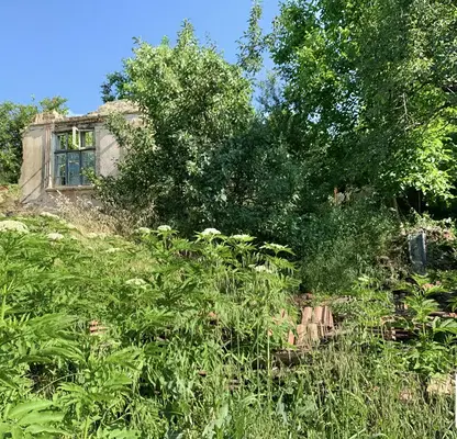 Photo 3 — Plot in Oblast Gabrovo, Katrandjii