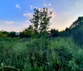 Снимка 4 — Парцел в Габрово, с. Ловнидол
