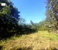 Снимка 3 — Парцел в Габрово, с. Пецовци