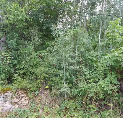 Photo 2 — Plot in Oblast Gabrovo, Zdravkovec