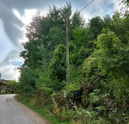 Photo 4 — Plot in Oblast Gabrovo, Zdravkovec