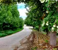 Снимка 5 — Парцел в Габрово, с. Здравковец