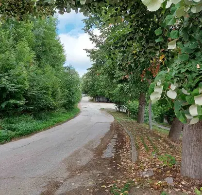 Photo 5 — Plot in Oblast Gabrovo, Zdravkovec