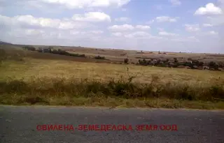 Парцел в Хасково, Любимец