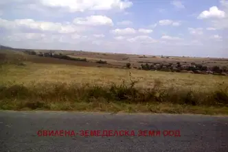 Парцел в Хасково, Любимец