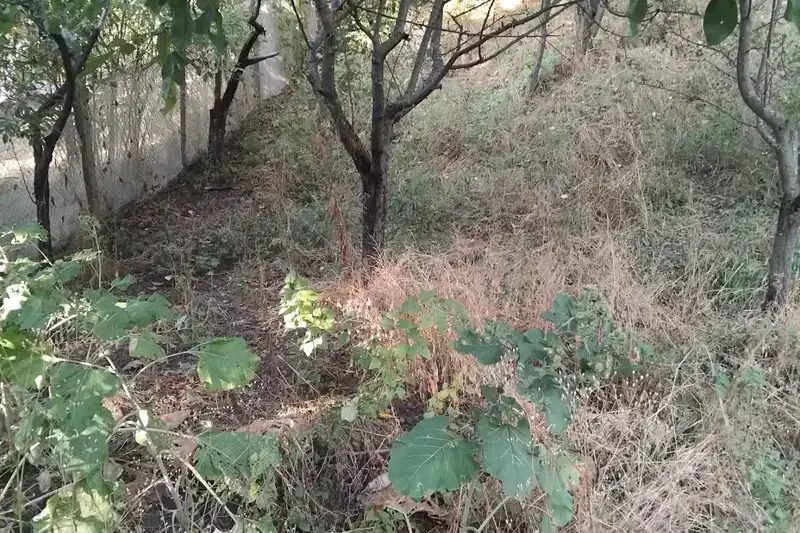 Plot in Oblast Kyustendil, Saparevo